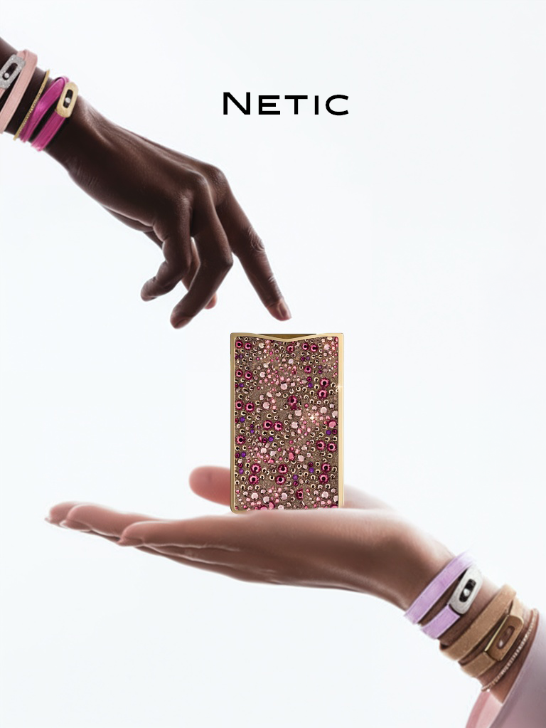 NETIC Visual – Bild 2